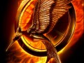The Hunger Games: Catching Fire Movie Review